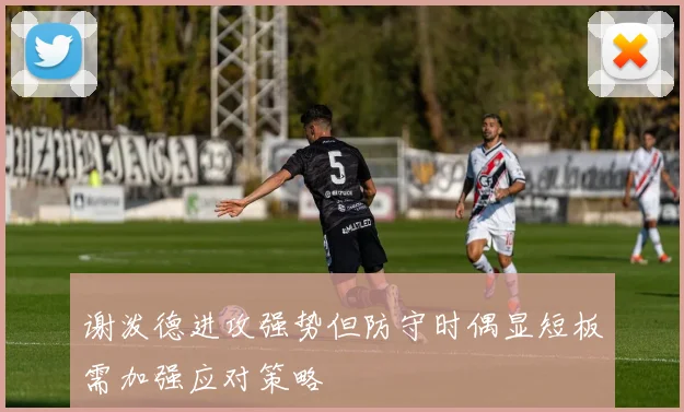 谢泼德进攻强势但防守时偶显短板需加强应对策略