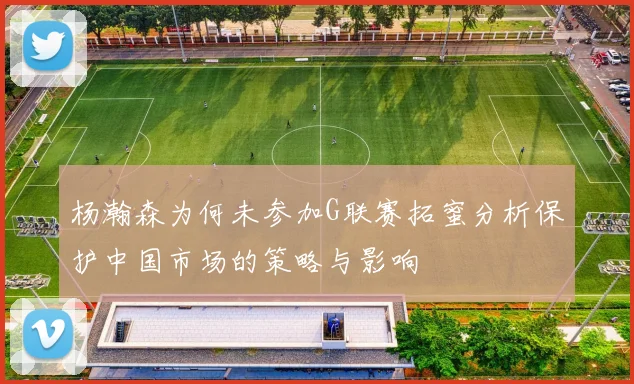 杨瀚森为何未参加G联赛拓蜜分析保护中国市场的策略与影响