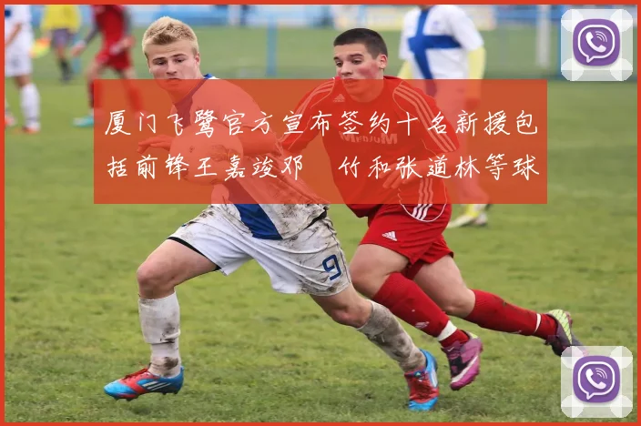 厦门飞鹭官方宣布签约十名新援包括前锋王嘉竣邓棽竹和张道林等球员