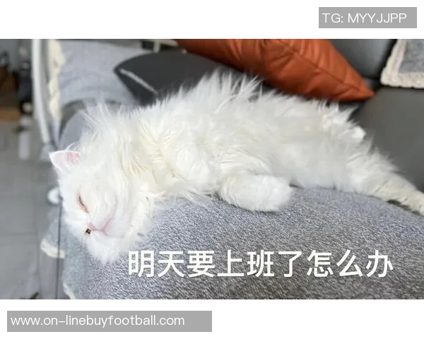 早报:假期余额不足了你准备好迎接工作挑战了吗 早报:假期余额不足了你准备好迎接工作挑战了吗