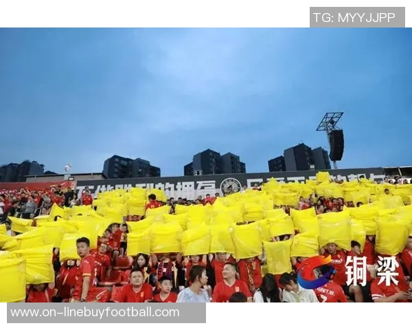 2025重庆铜梁龙队现场观众人数创纪录合计185971人次场均观众数引发热议